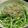 gomaneko's cooksnap of when they made 水菜のサラダ＊柚子胡椒ドレッシング.