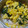 ぴーたー's cooksnap of when they made 簡単♪ほうれん草のオイマヨサラダ.