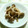 atsufabric's cooksnap of when they made しめじの胡麻和え.