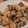 ｙｏｕ５'s cooksnap of when they made シーチキンの炊き込みご飯.