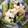 emi0015's cooksnap of when they made 俺流！胡瓜と長芋の鰹梅肉和え.