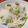 花柄エプロン's cooksnap of when they made こぶ茶で！咄嗟に枝豆ご飯.