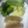 けいよせふ's cooksnap of when they made アジのハーブムニエル.