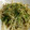 ☆ともよレシピ☆'s cooksnap of when they made 節約レシピ★簡単もやしソース炒め.