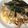 あ　り　す's cooksnap of when they made しめじ入りお好み焼き風オムライス.