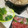 ちたんとまま's cooksnap of when they made 漁師推薦！新鮮魚と玉ねぎのしゃぶしゃぶ.