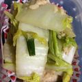 1045_'s cooksnap of when they made 白菜とひき肉の煮込み.