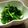 mio*.'s cooksnap of when they made しゃき★しゃき★ほうれん草のナムル.