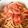 なっとういち母さん's cooksnap of when they made トマトとツナのパスタ.