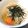 クックOYQN57☆'s cooksnap of when they made 半熟たまごのぶっかけうどん.