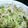 J_son's cooksnap of when they made 大人気！肉野菜炒め！.