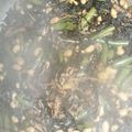 もりのりころ's cooksnap of when they made 私のひじきの煮物☆甘め.