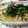 ゆかりんご１２'s cooksnap of when they made きのことベーコンの和風パスタ♪.