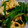 0samba0's cooksnap of when they made ★ほうれん草の卵和え★.