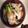 ちばちゃん０８２７'s cooksnap of when they made 超簡単！めちゃウマ焼き鳥丼.