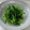 まほじょ's cooksnap of when they made 豆苗と塩昆布の胡麻和え♡.