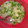 カズマックスKK93's cooksnap of when they made 大根菜(かぶの葉)の和風粥.