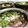 ナゾリーヌ's cooksnap of when they made 海鮮＋ネバネバで欲張り丼♫♬.