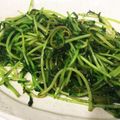 ★よーこちん★'s cooksnap of when they made * 豆苗のにんにく炒め *.