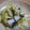 mtoy's cooksnap of when they made 簡単!そしておいし～い！白菜の塩昆布和え.