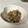 はしも☆あき's cooksnap of when they made 豆苗ときのこのガリバタオイスター炒め.
