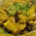fug's cooksnap of when they made えのき厚揚げ丼.
