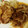 hamanny's cooksnap of when they made 定番！豚の生姜焼き.