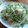 さっちゃん←元こ茄子's cooksnap of when they made 和風ゴママヨ✿貝割れ＆レタスのサラダ。.
