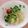 桃栗姫's cooksnap of when they made ジンジャー入りコブサラダドレッシング♪.