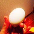 hannah87's cooksnap of when they made ゆで卵☆光熱費節約.