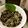 seacomet's cooksnap of when they made やみつき☆えのきひじき.