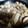INJU's cooksnap of when they made ☆豚肉と玉ねぎのしょうが焼き☆.
