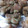 クックSD7U56☆'s cooksnap of when they made ♡揚げずに焼くだけ唐揚げ♡.