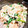 キョロメル's cooksnap of when they made やみつき！白和え.