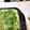 きもったまおかん's cooksnap of when they made ★週末はパパが作るもんじゃ焼き★.