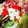 ka321ri's cooksnap of when they made 大根おろし アートでキティ ちゃん♪.