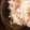 RYK1205's cooksnap of when they made 玄米と白米を一緒に炊く♪.