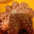 krym_mana's cooksnap of when they made 自分で茹でると美味し～い♪蛸.