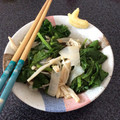クックOSB55S☆'s cooksnap of when they made 菜の花とエノキの塩麹和え.