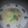 アメリカ人の日本人's cooksnap of when they made 玉ねぎとジャガイモのスープ.