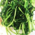 ぱんだ123's cooksnap of when they made 簡単：レンジ１分：豆苗の酢醤油胡麻和え.