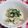 ねねしばこ's cooksnap of when they made 笹かまぼことほうれん草の梅味噌和え。.