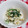 ねねしばこ's cooksnap of when they made 笹かまぼことほうれん草の梅味噌和え。.