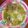 ローマンホリデー's cooksnap of when they made 豚肉×白菜×大根の重ね煮味噌カレースープ.
