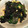 ボンユーマ's cooksnap of when they made ほうれん草 しらす干しの和え物.