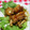ねねしばこ's cooksnap of when they made 簡単！☆えのきの豚肉巻き！甘辛ソース☆.