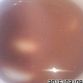 クックZ69KDS☆'s cooksnap of when they made あずき缶で簡単♪ぜんざい♪.