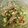 ナッツ386's cooksnap of when they made 豆苗とウインナーのマヨサラダ☆.