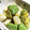 ＬＯＶＥＤＯＧＳ's cooksnap of when they made 長芋とアボカドのわさびあえ.