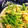 RYK1205's cooksnap of when they made ほうれん草と卵の炒めもの.